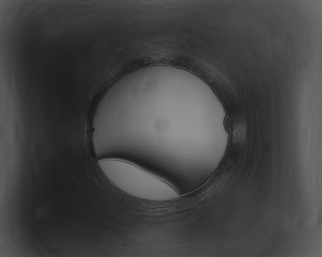 X0000101171156200806270747