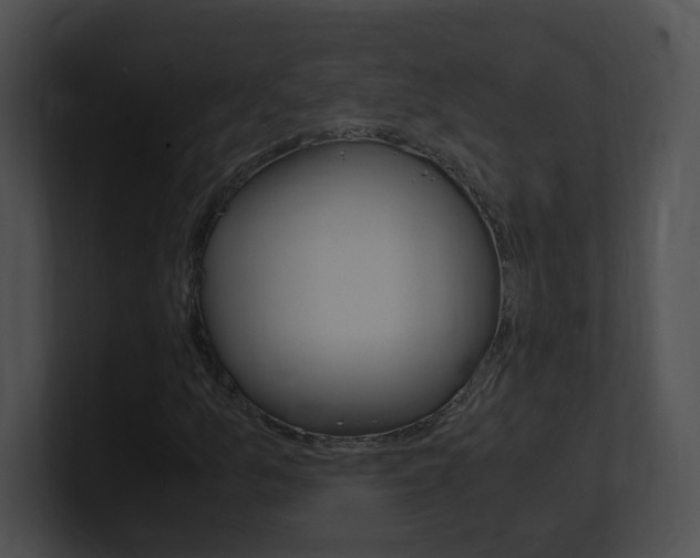 X0000101171157200806270747