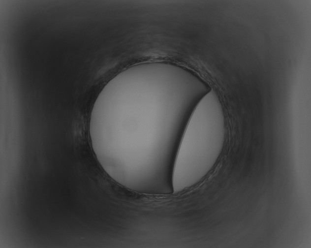 X0000101171158200806270747