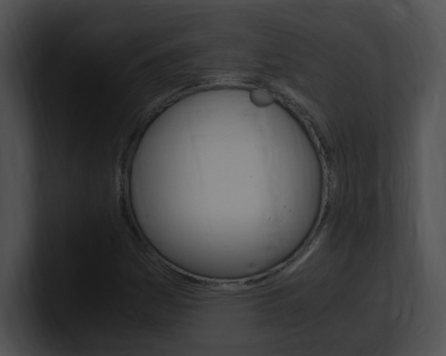 X0000101171161200806270747