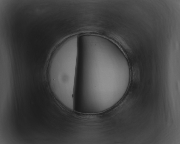 X0000101171164200806270747
