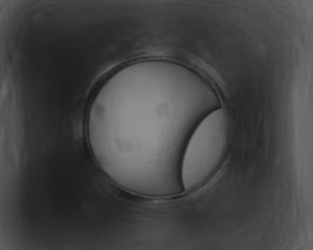 X0000101171166200806270747