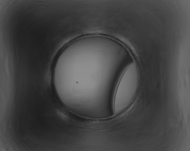 X0000101171167200806270747