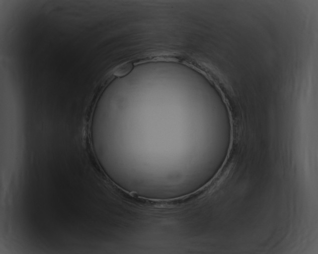 X0000101171169200806270747