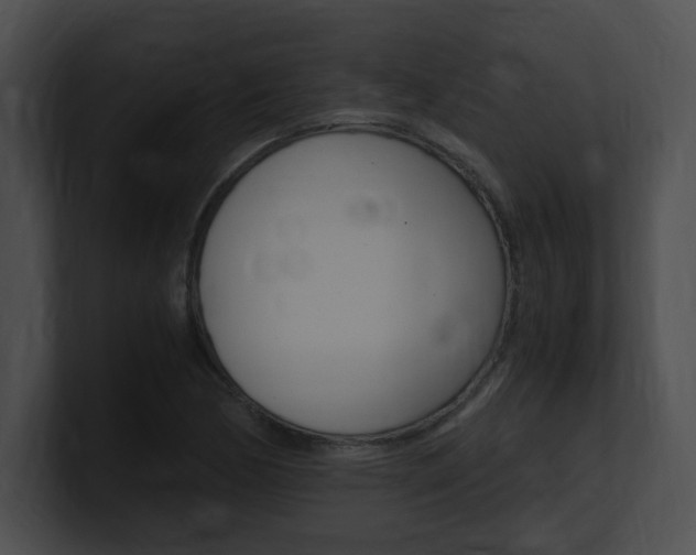 X0000101171170200806270747
