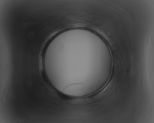 X0000101171171200806270747