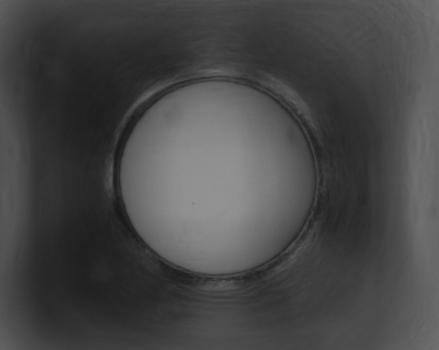 X0000101171174200806270747