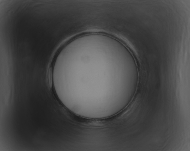 X0000101171175200806270747