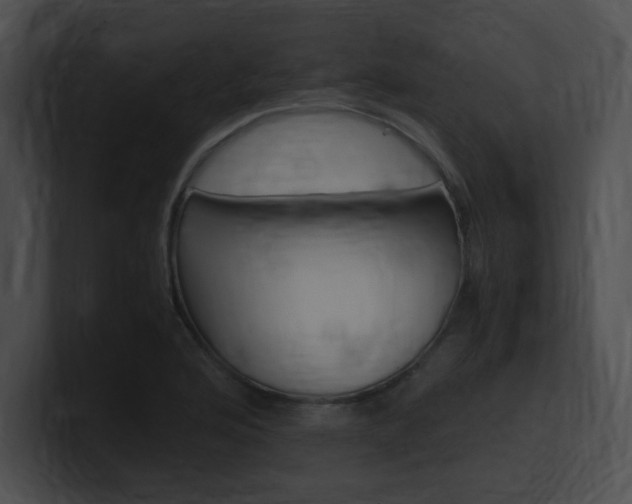 X0000101171176200806270747