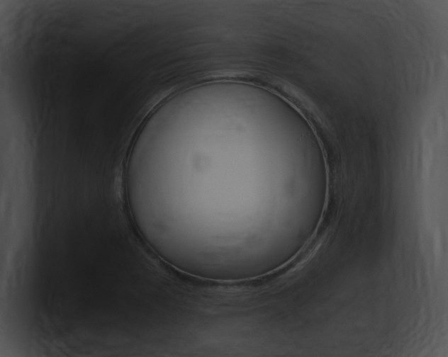 X0000101171177200806270747