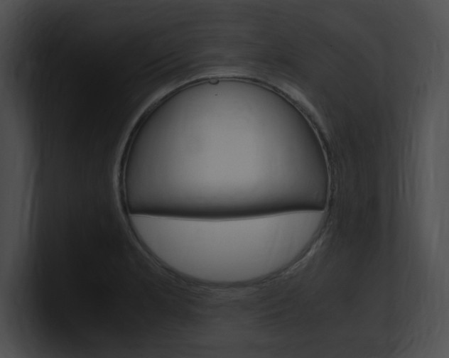 X0000101171181200806270747