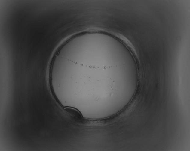 X0000101171183200806270747