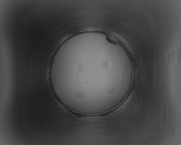 X0000101171185200806270747