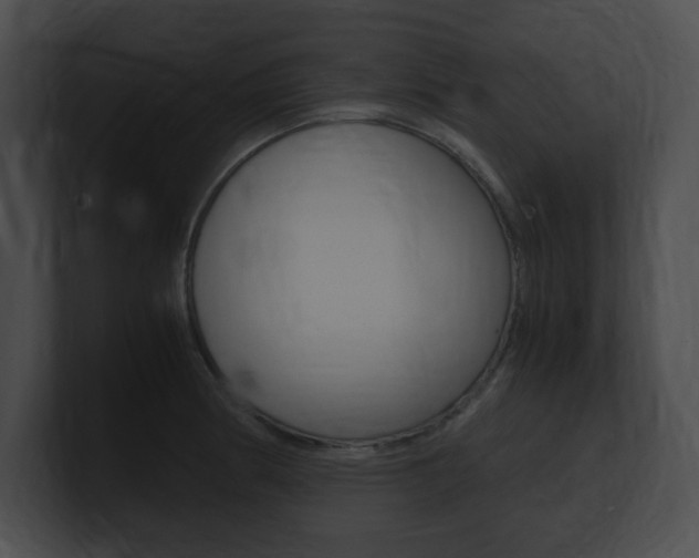 X0000101171186200806270747