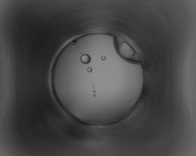 X0000101171187200806270747