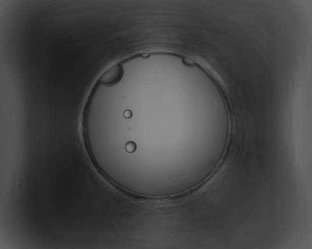 X0000101171189200806270747