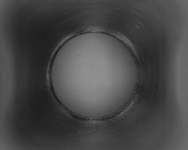 X0000101171190200806270747