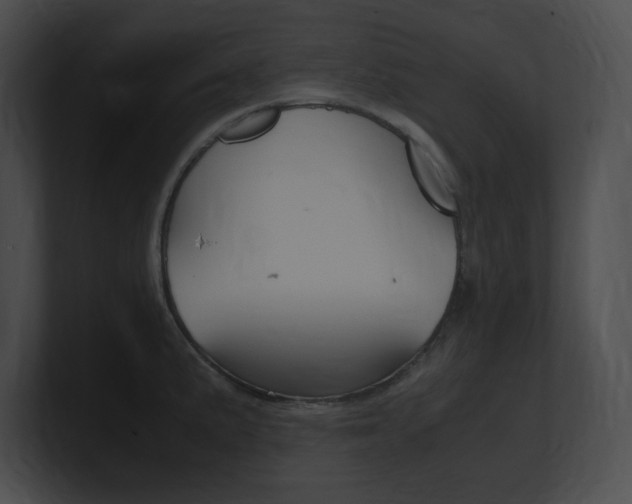 X0000101171191200806270747