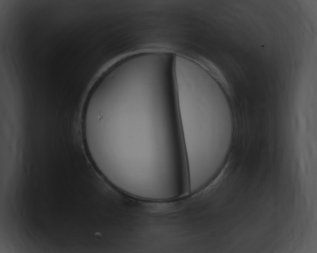 X0000101171192200806270747