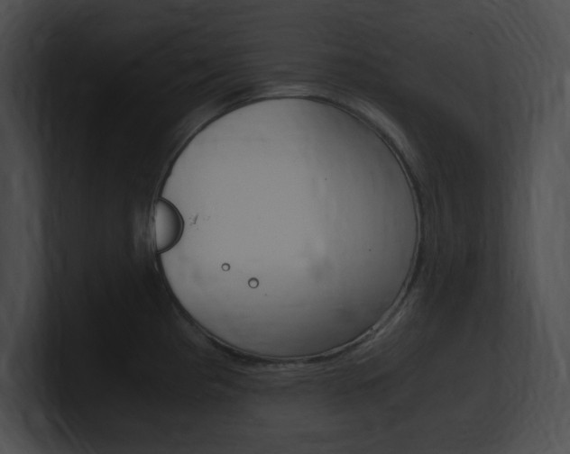 X0000101171193200806270747