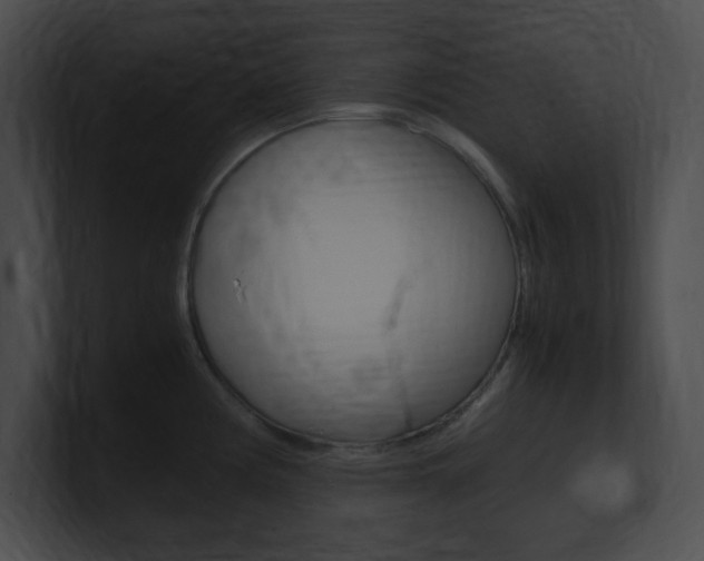 X0000101171194200806270747
