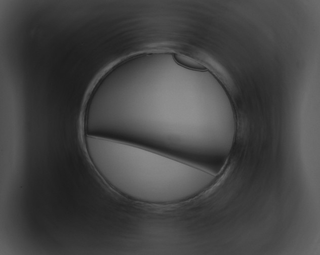 X0000101171196200806270747