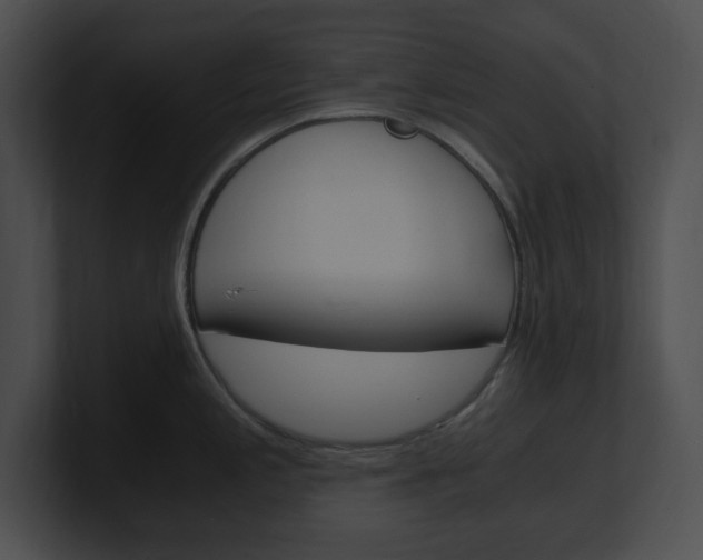 X0000101171197200806270747
