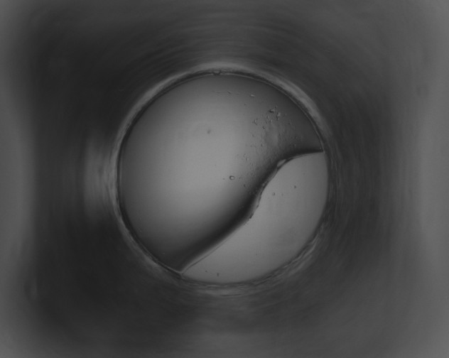 X0000101171199200806270747