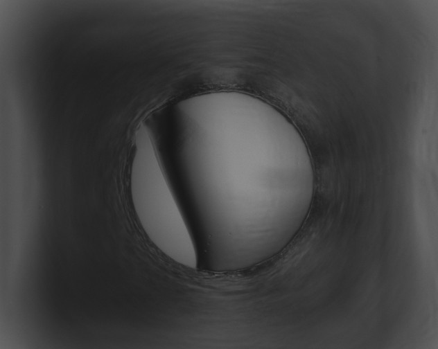 X0000101171201200806270746