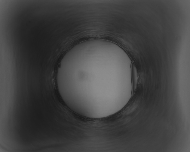 X0000101171202200806270746