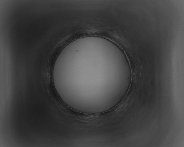 X0000101171205200806270746