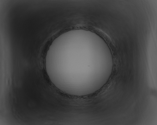 X0000101171207200806270746