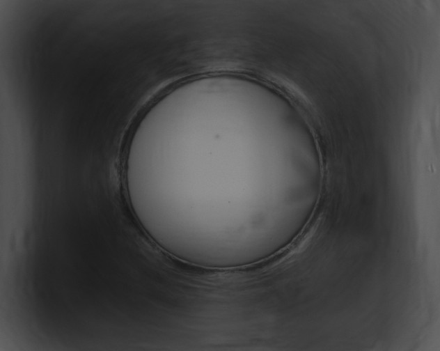 X0000101171212200806270746