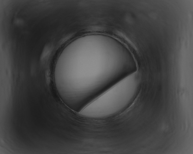 X0000101171213200806270746