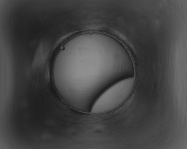 X0000101171214200806270746