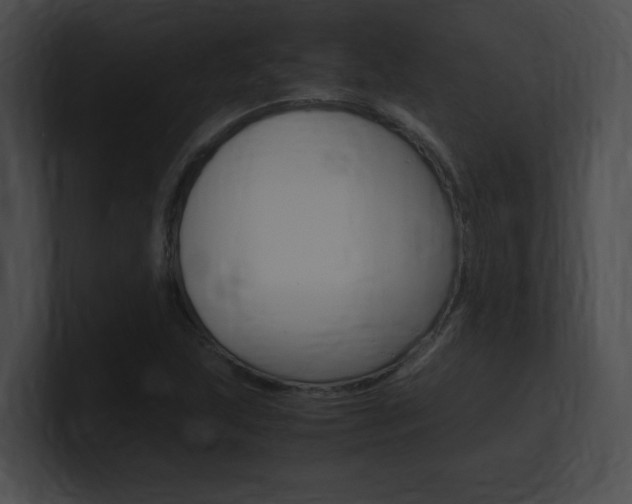 X0000101171215200806270746