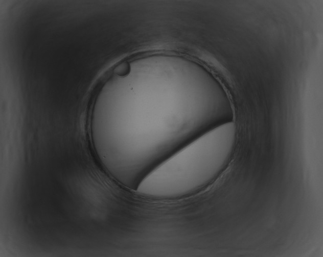 X0000101171216200806270746