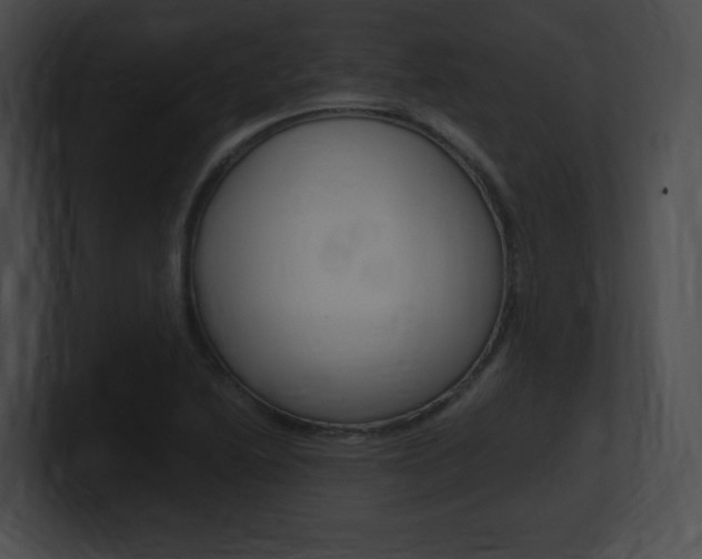 X0000101171222200806270746