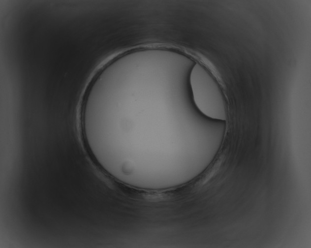 X0000101171231200806270747