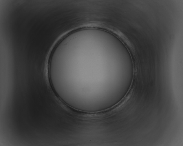 X0000101171232200806270747