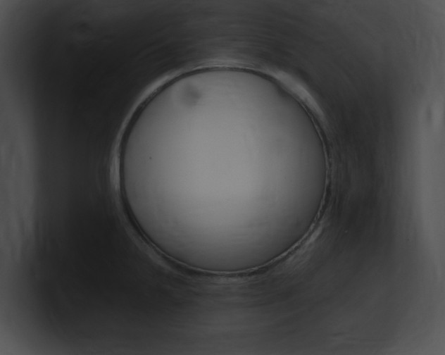 X0000101171238200806270747