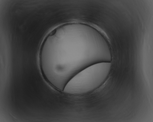 X0000101171239200806270747