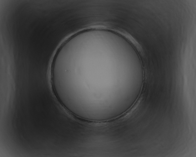 X0000101171240200806270747