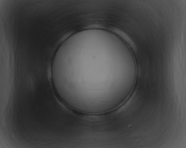 X0000101171241200806270747