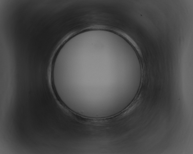 X0000101171245200806270747