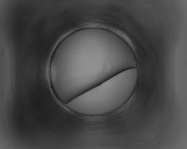 X0000101171247200806270747