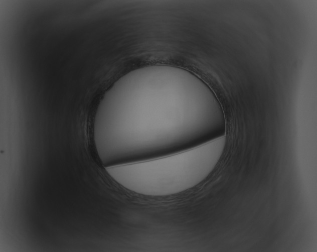 X0000101171250200806270746