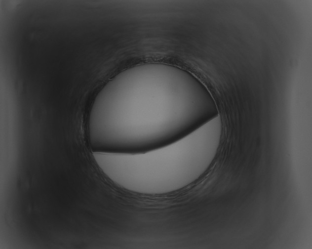 X0000101171252200806270746