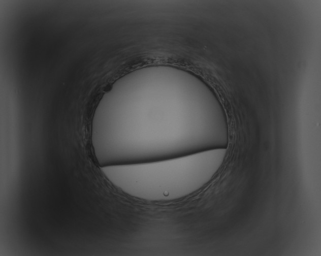 X0000101171253200806270746