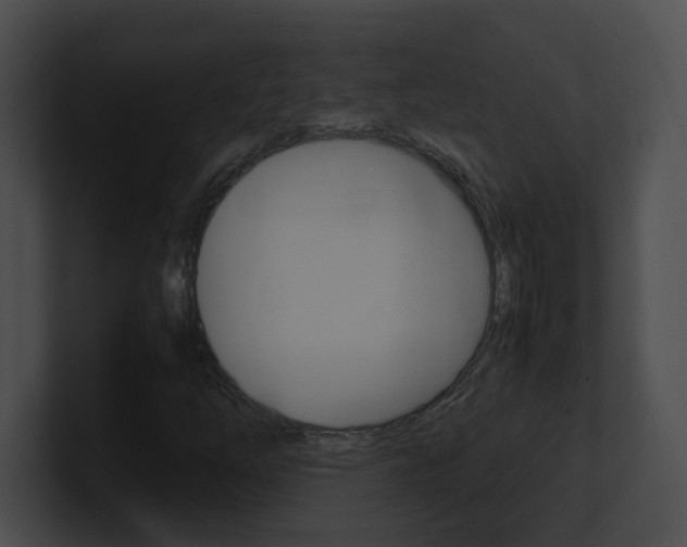 X0000101171254200806270746